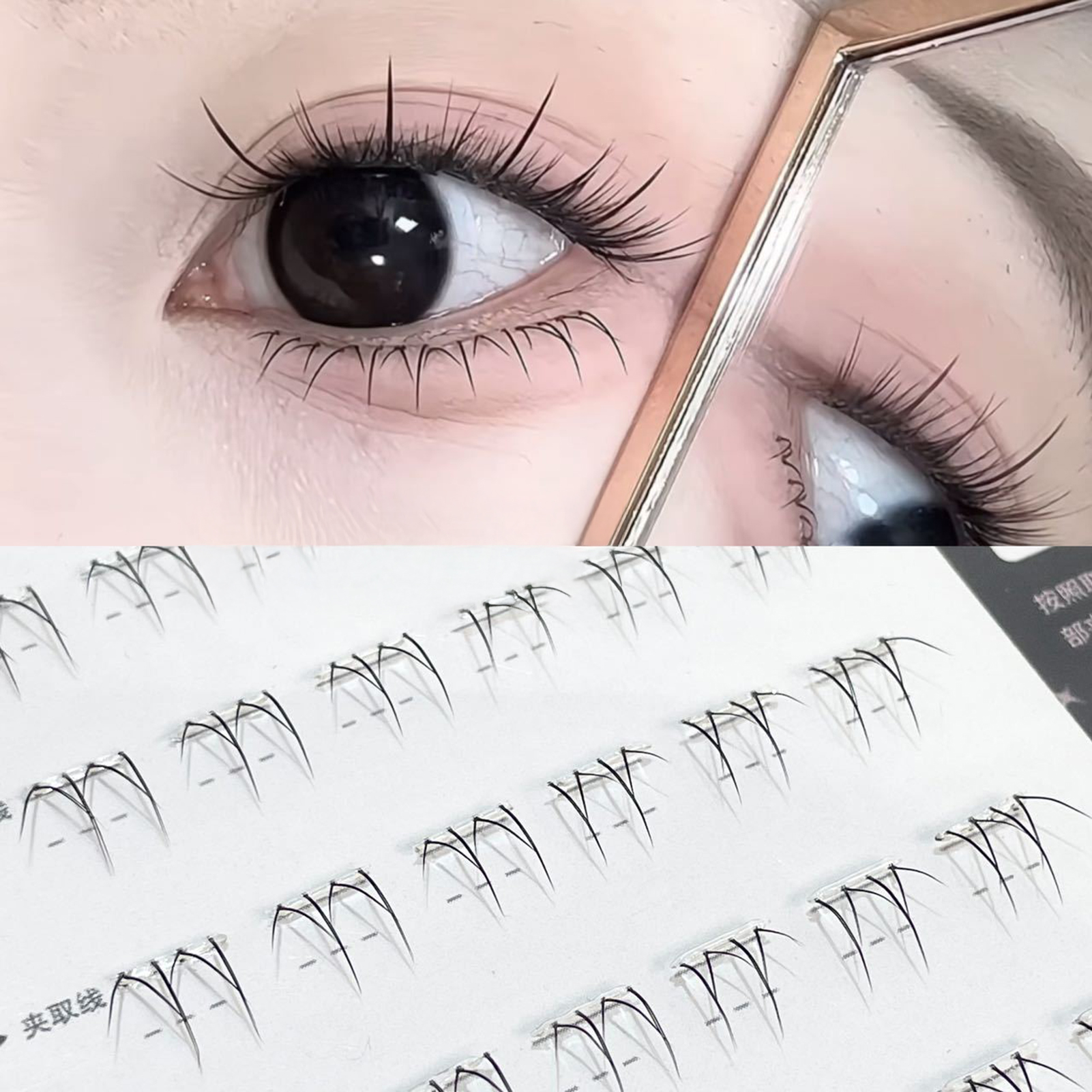 No Glue False eyelash Extensti - đánh giá và giá Lash Adhesive Glue