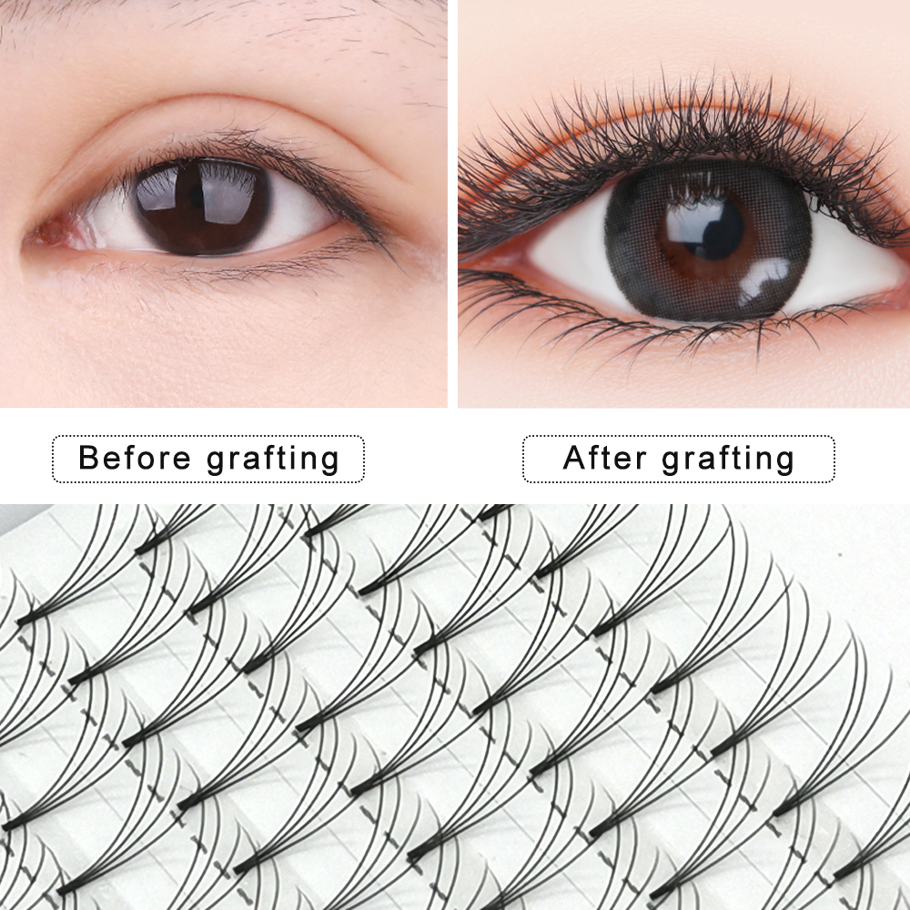 Eyelash Extension 3D4D5D6D7D8D - đánh giá và giá Eyelash Extension Japan