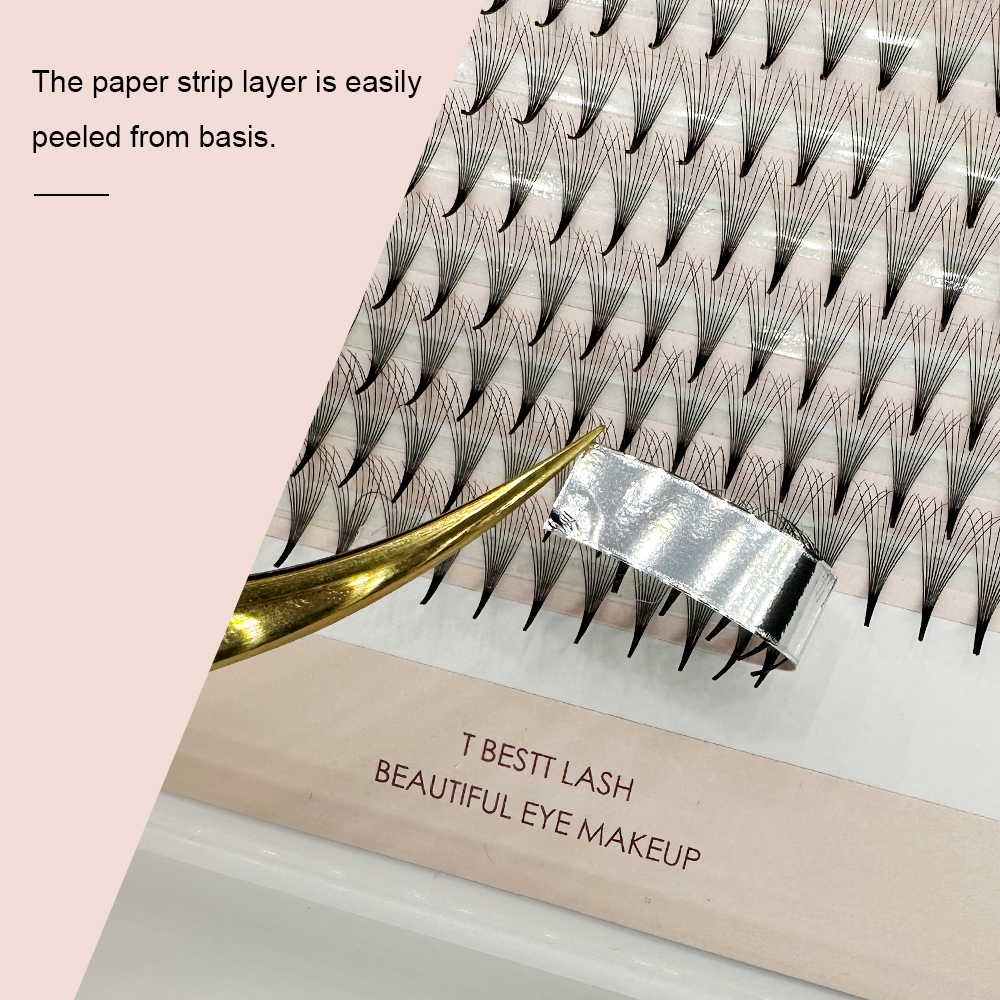 TBestt 5D/6D/8D/10D Premade Fa - đánh giá và giá Eyelash Extension Japan