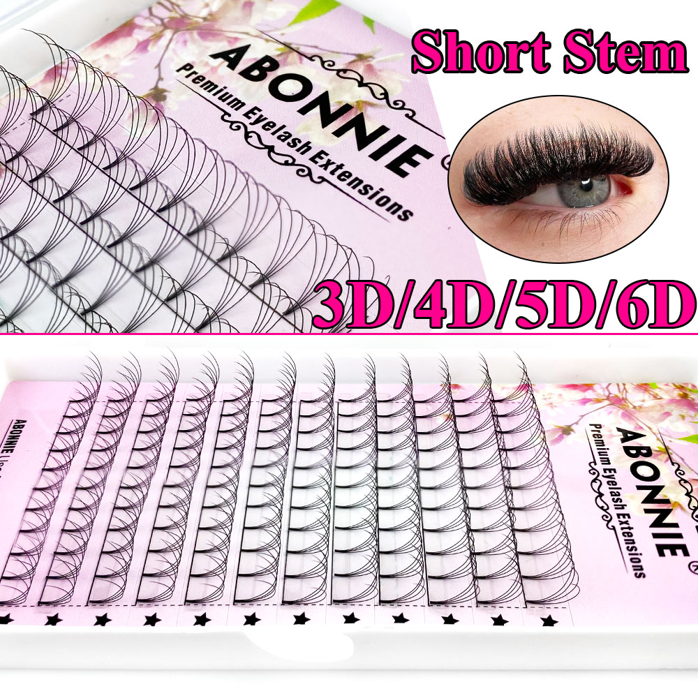 Abonnie 6D Narrow Fan Premade  - đánh giá và giá Eyelash Extension Japan