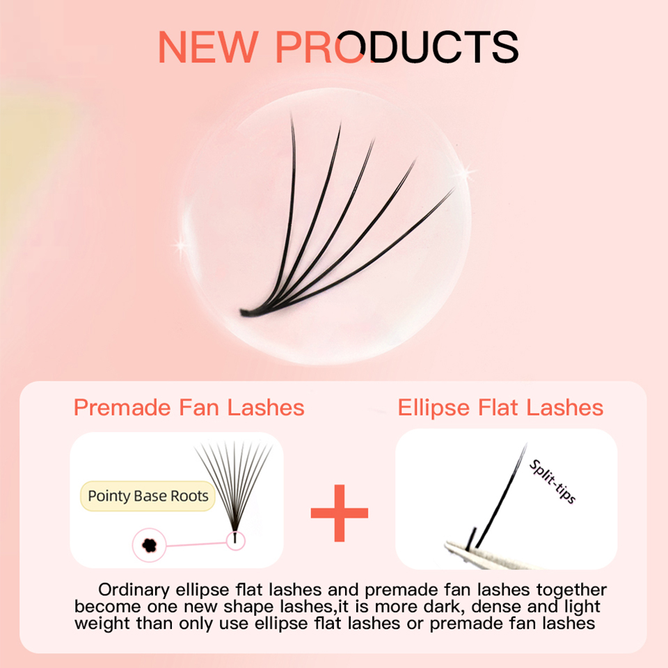 AGUUD Camellia Premade Fans La - đánh giá và giá Eyelash Extension Japan