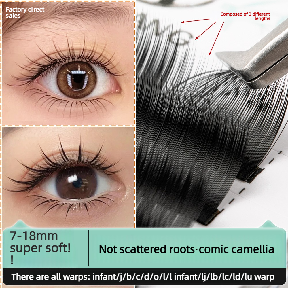 Anime Camellia Eyelashes Soft  - đánh giá và giá Eyelash Extension Anime Style
