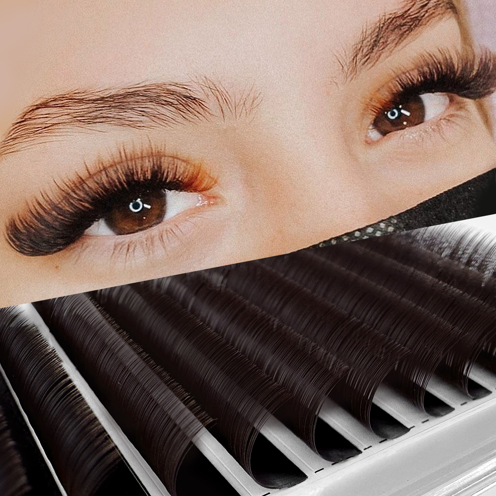 ABONNIE Brown Ellipse Flat Eye - đánh giá và giá Eyelash Extension Supernatural